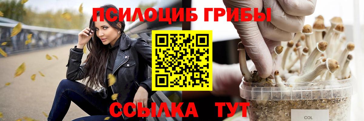 Междуреченск  Псилоцибиновые грибы GOLDEN TEACHER  Вход с VPN 